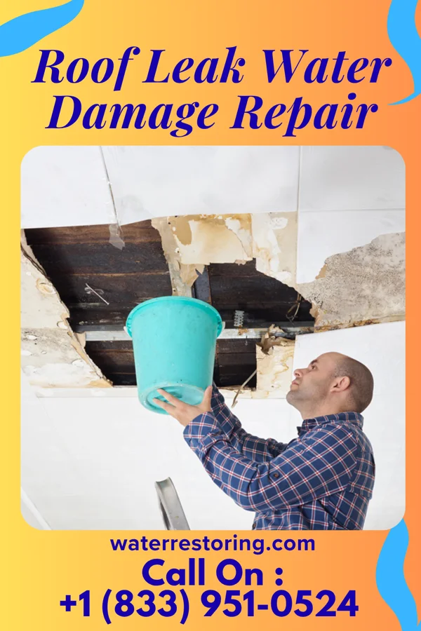 Roof Leak Water Damage Repair in Reydon, OK